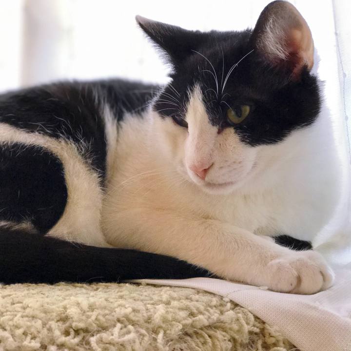 35893275 9e58 4f55 ae0e f3d49b9817c2