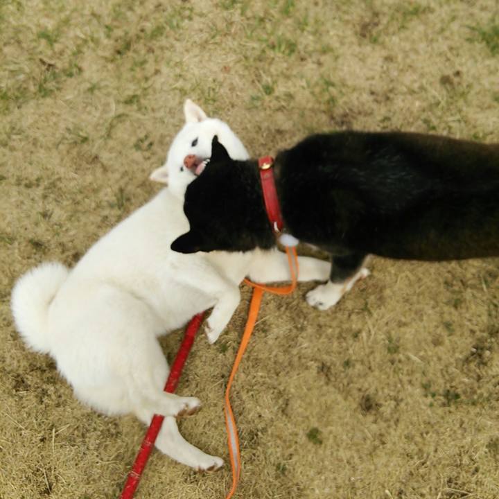 35896b59 9ee0 42cb a1f8 daa4fa747296