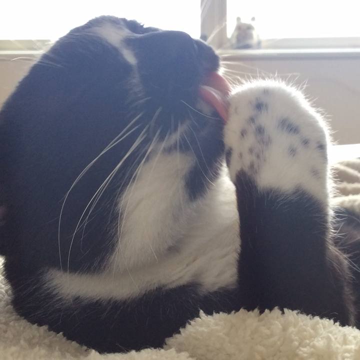 3589ce07 a3e3 4874 85db 154770a80cbd