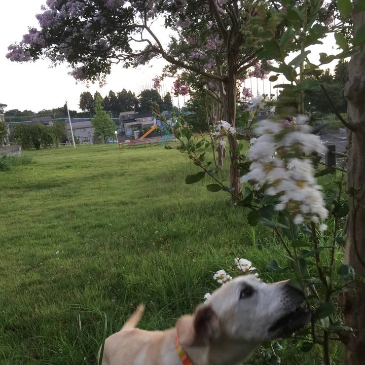 358a4dea 876d 4e33 a627 d3b0a8eb7697