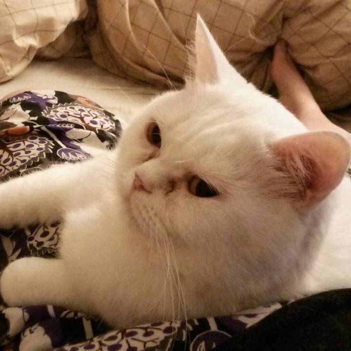 358ab1c6 18d3 4dba a510 0c21249661b7