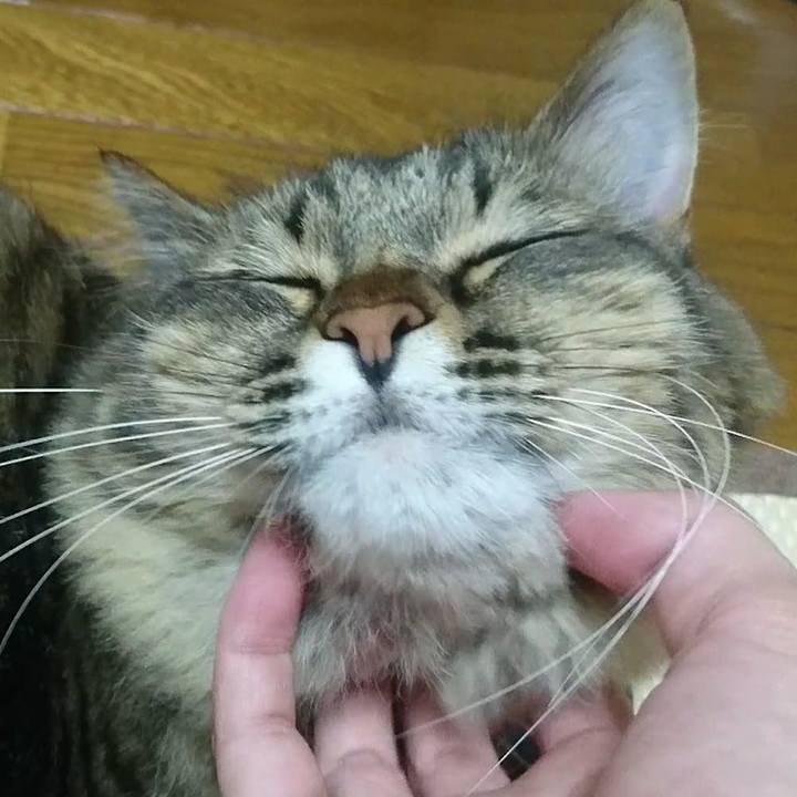 358c05ab 200a 4104 aefe 726e87ab89d5