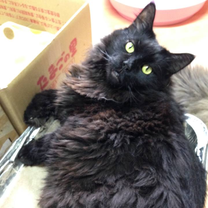 358c2f39 6bc5 4c1c 9051 7675504c47bd