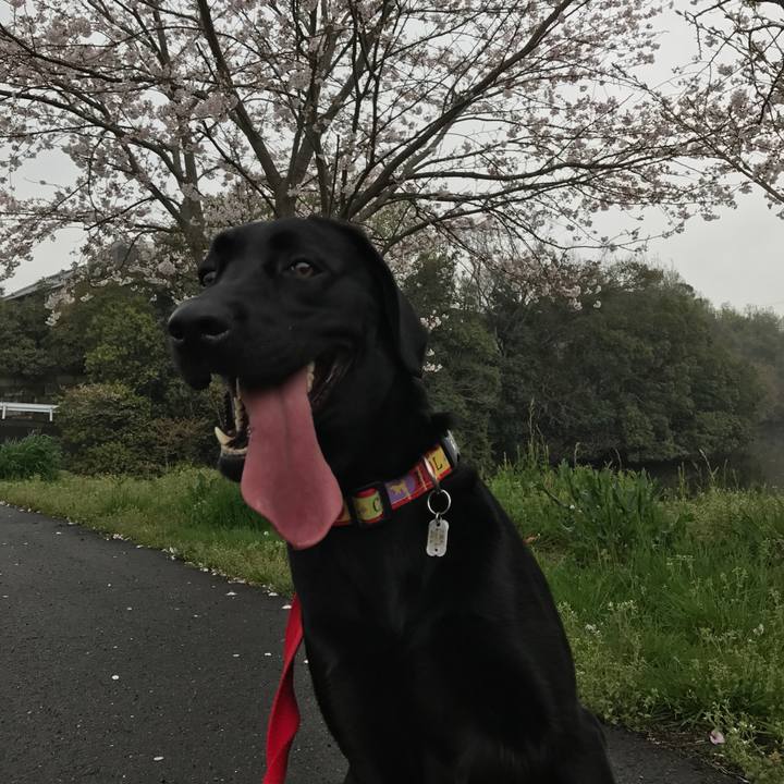 358c52a2 15b0 40e0 9cb3 f804f229c236