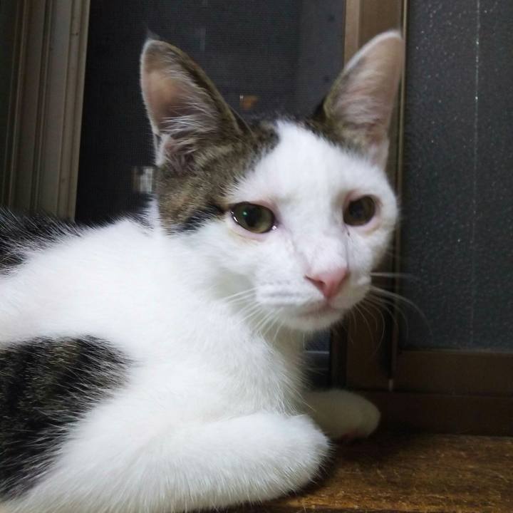 358cfd36 f78c 4081 93cd 5405055c984c