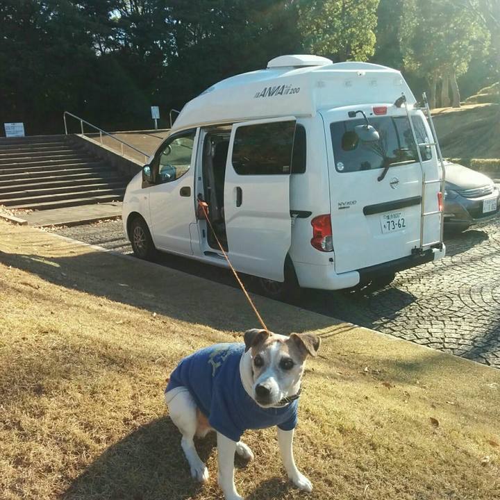 358d2e4c 6598 4528 ab19 30d4dc1d37de