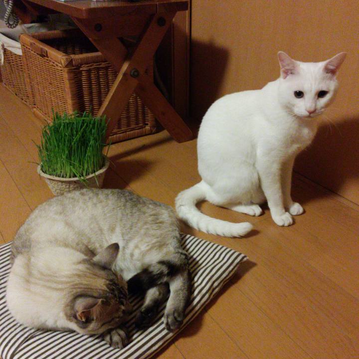 358d3222 aae3 4494 8a17 dd0b3ce3fa5b