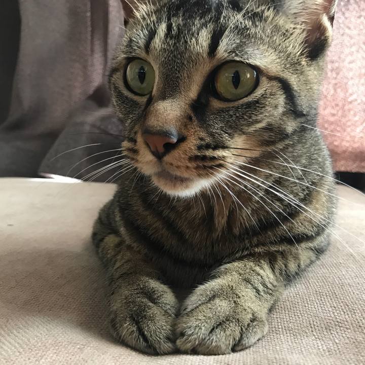 358e004c a26f 49d1 943d e3c91764cbdb