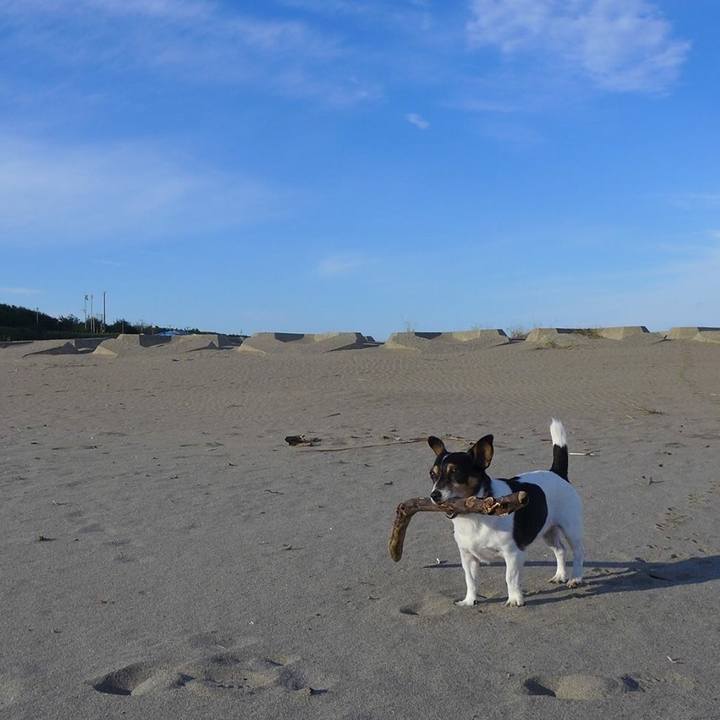 358e4ccf 95ec 4361 b58c 4c29c21954ee