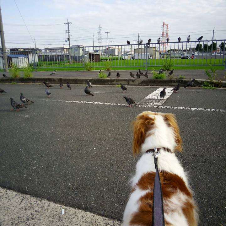 358e56a7 2e4c 4144 9a5f 93bd533c948c