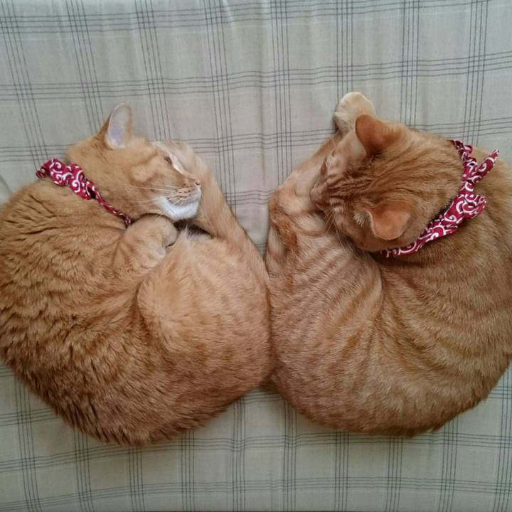 358e6a66 7df1 4dd0 a7e5 510a56d449fe