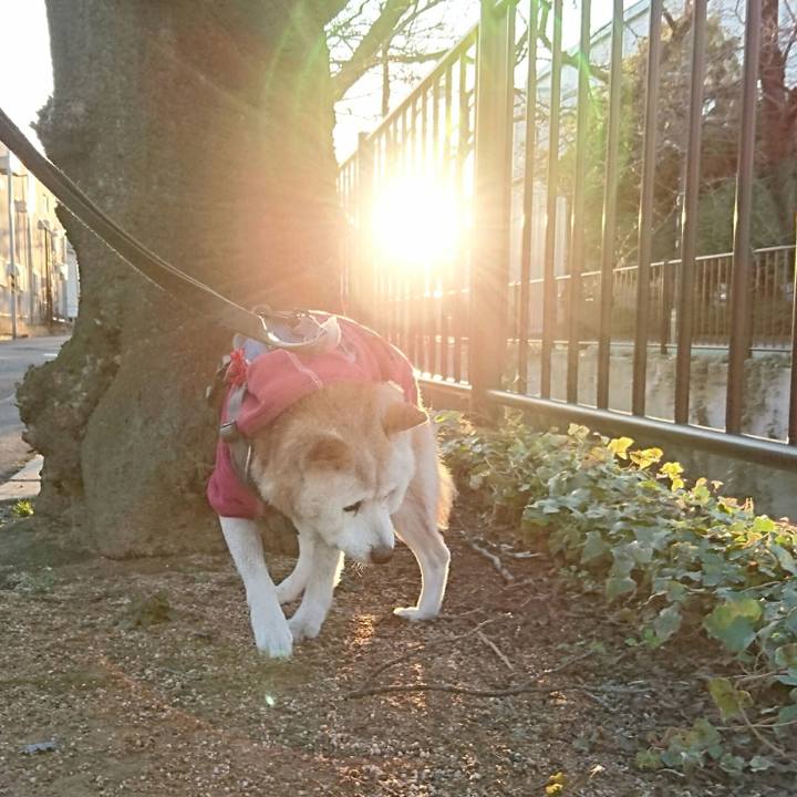 358eee93 49ca 4497 9df7 506ff682af2c