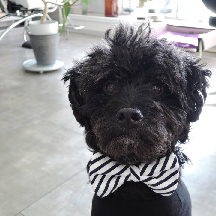 358f077c b363 4902 854d e512a6882e1b