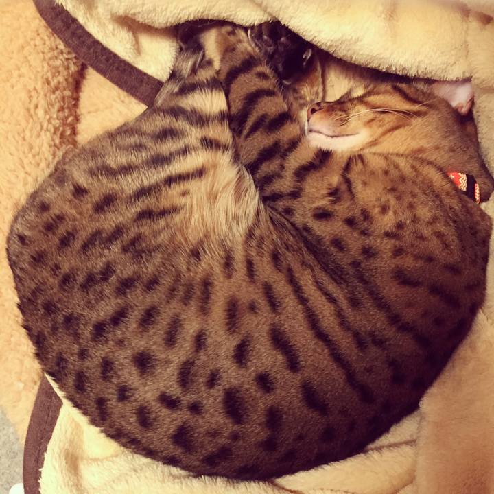 358f9679 0ab0 4aa0 a183 79cfcad83bed