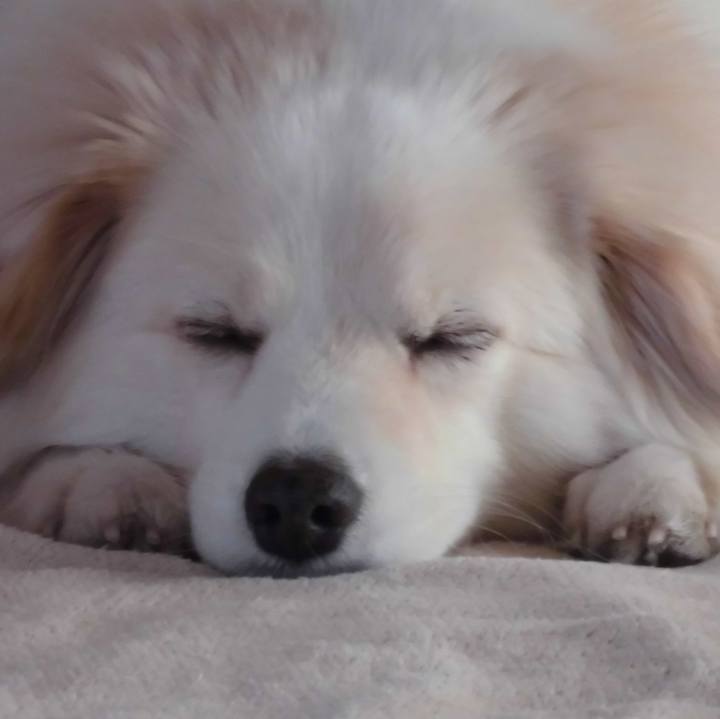 358fb57e a0b9 4ac7 8e35 8e9b2305ef9d