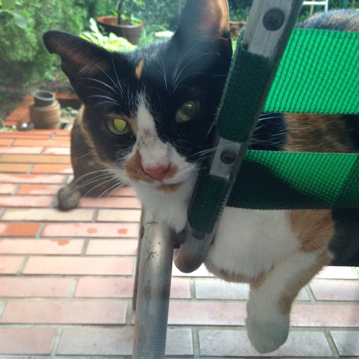 358fe72a 7ebf 49db ae3a 36a8af227da5