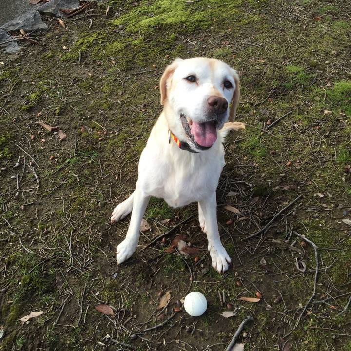 3590a8d6 ae57 473a b109 4db526867d81