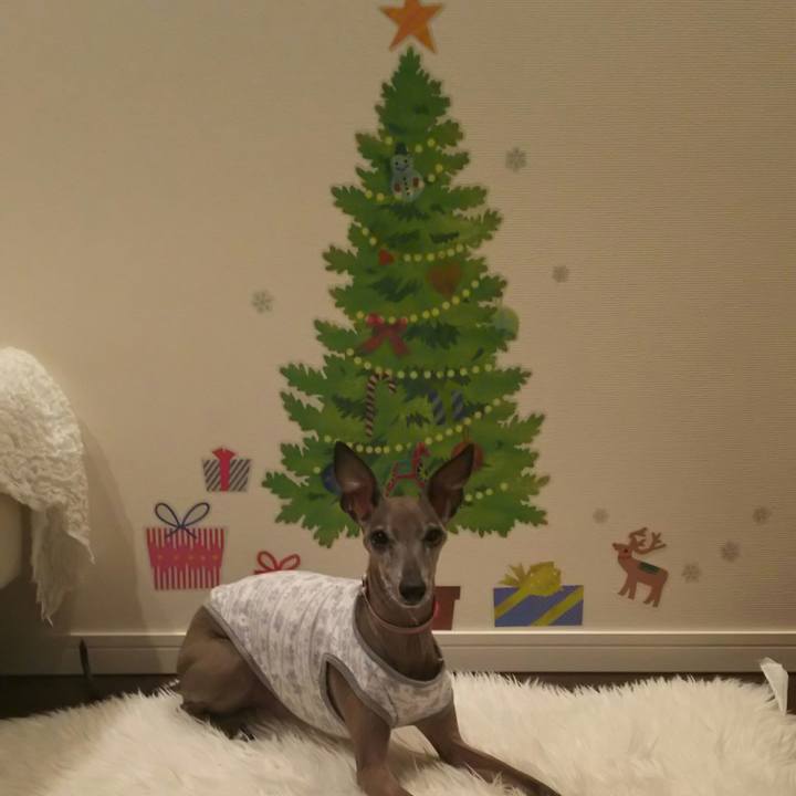 359144dc bf12 45d0 877e e1d3280c8f77