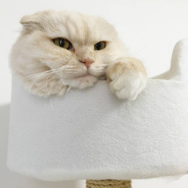 35918417 697b 4931 9eb5 9edb736f97bd