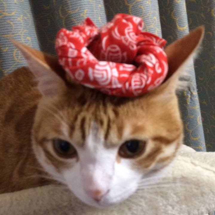 359198cc 214c 4568 87bb cfd91fa36ddb