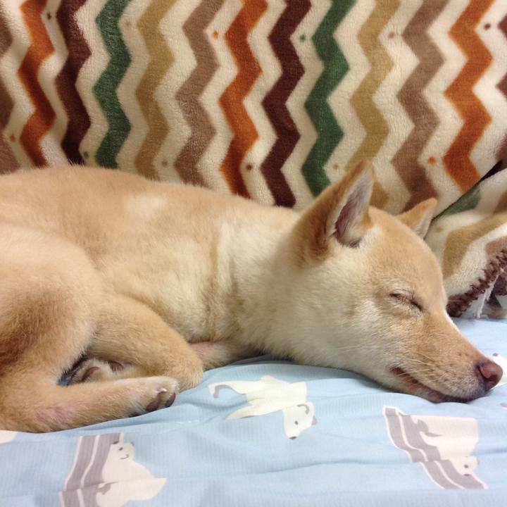 359207db a867 4e46 ba5d d1175c192c05