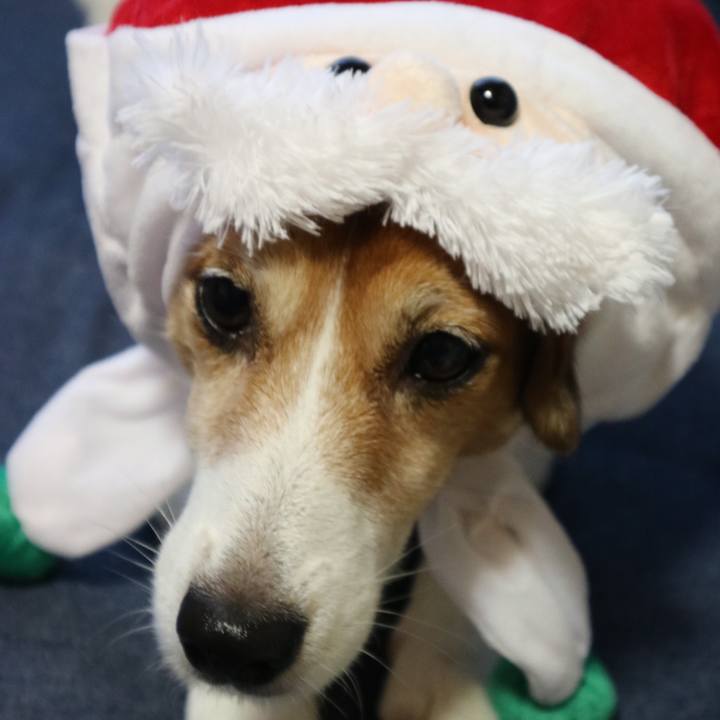 35922d91 b880 4489 a71a 0fcc9259dbd3