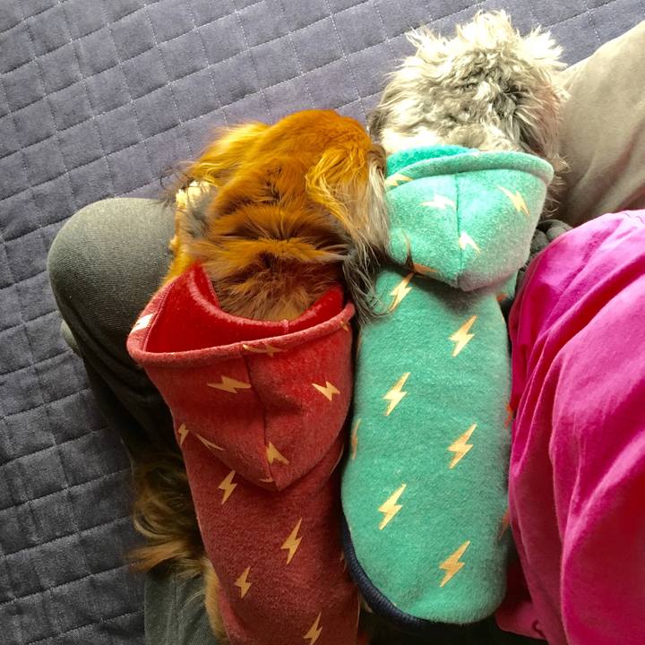 3592346d 6400 4649 95ba 5893e4222a4d