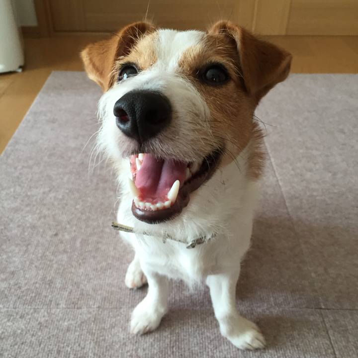 35931067 2f91 41bd 9039 970283eadf29