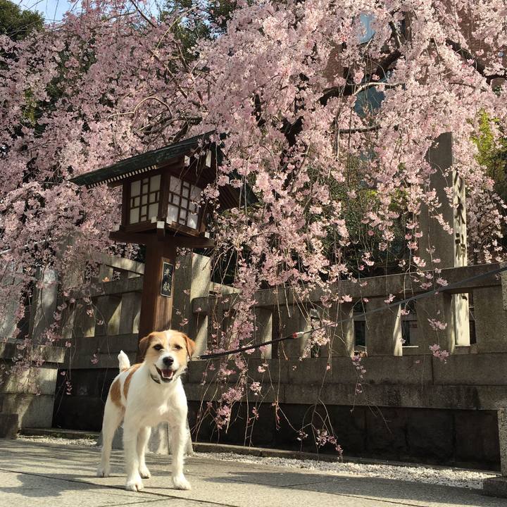 35935a40 746e 4f24 98a5 32fccf0349a8