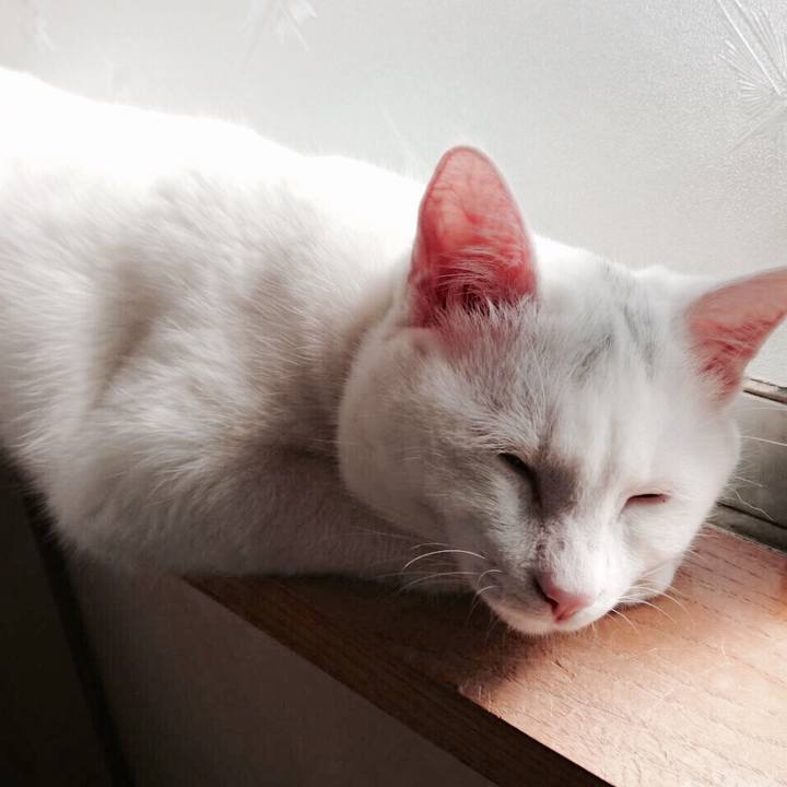 35949d9b 8207 402b 8932 a6f5c86f6300