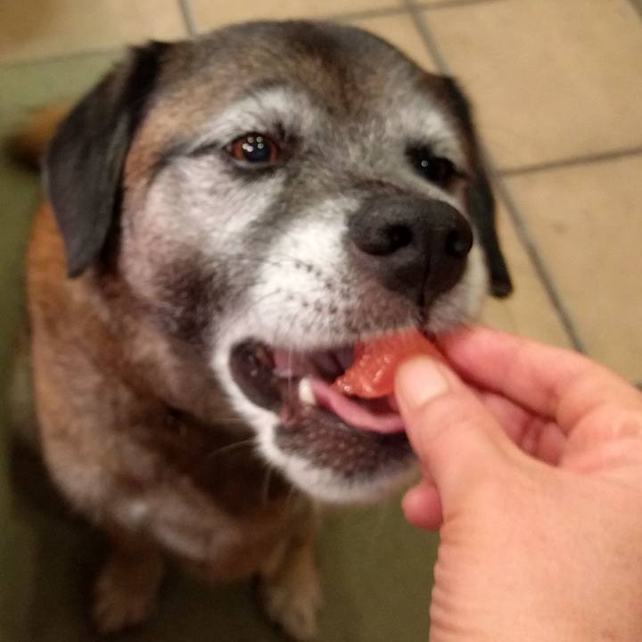 3594aaff ca87 4ec9 8dc0 4f7896613d4f