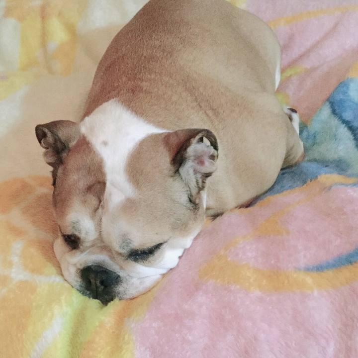 3596079d e8f8 4194 a6e7 82f84c5ab0d7