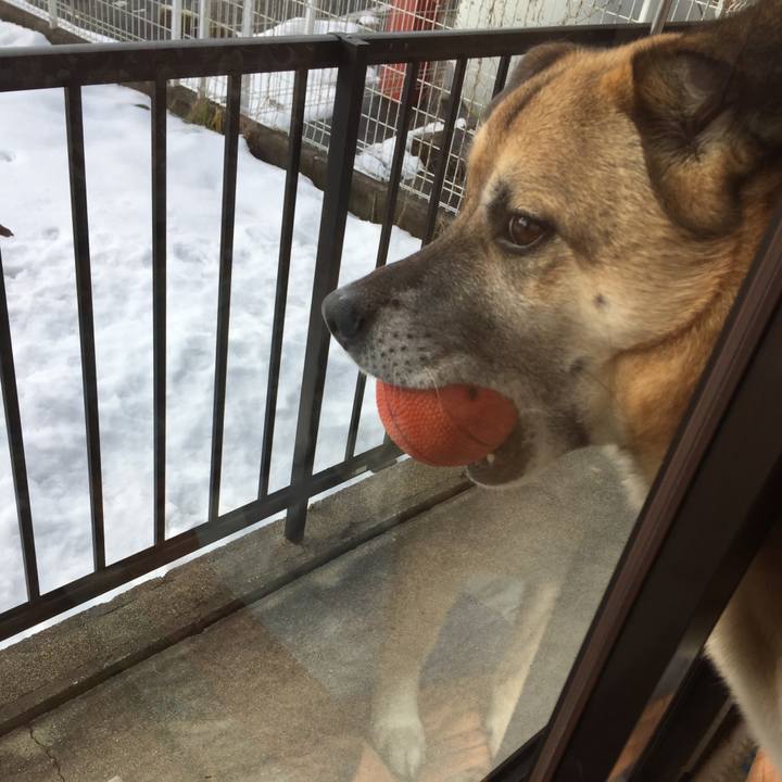 35968342 eba6 44ad 8791 9a512b4cbafa