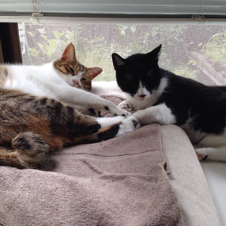 3596ed77 99db 4d17 9b43 e27359851fa8