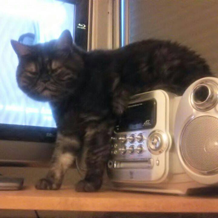 35976311 d55e 446e 96bb e89492632465