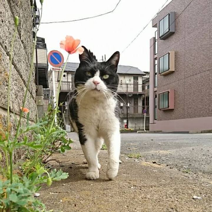 3597f28f d1c7 4f60 9e61 c08abb6e2b20