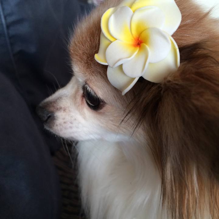 359857bf c40d 49b4 9314 88265d1c27f3