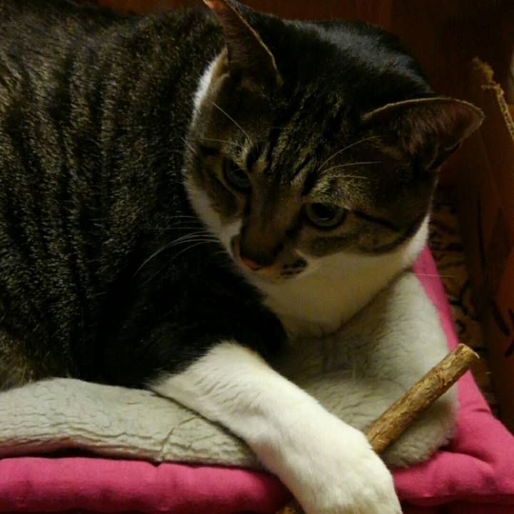 35986a26 3775 4a66 ba78 836313ea2020