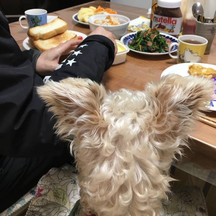 3598afb8 f22b 42e2 a62e 208f2260a7bf