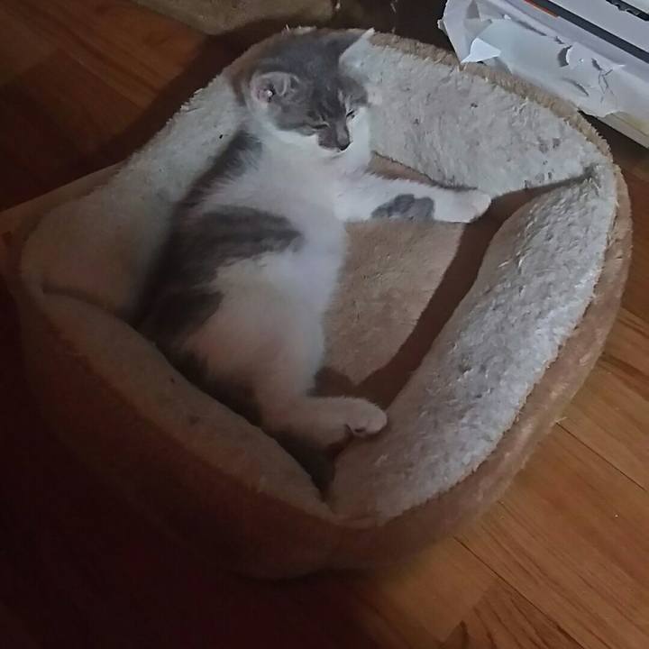 3598b07d 4299 4438 b31e 3564a4639910