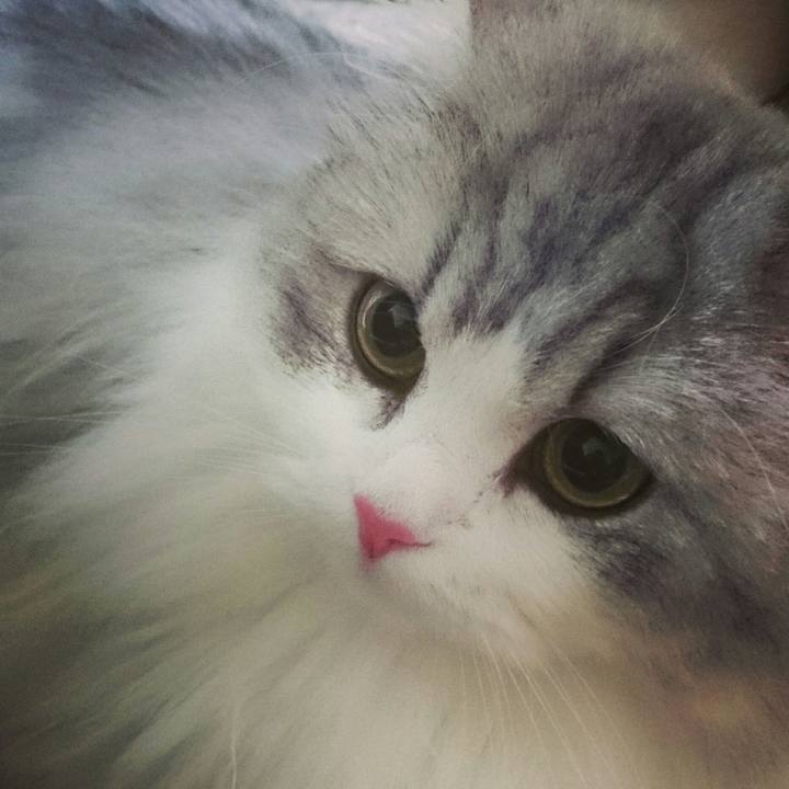 3598bd79 efde 4a2c a191 ff949866315c