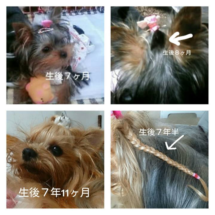 3598d3a5 98cd 4bb7 8678 147e2a1d36a9