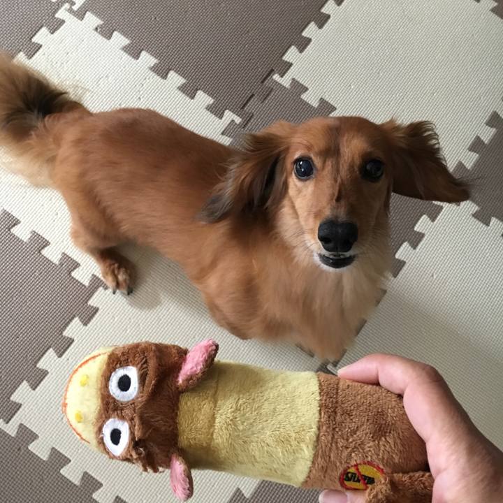 3598f98f c80f 4e54 bb0b 66d885f73065