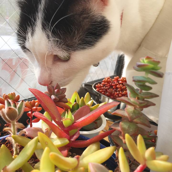 35993dd8 4fe4 47a3 8b38 bc68e6f2b2fa