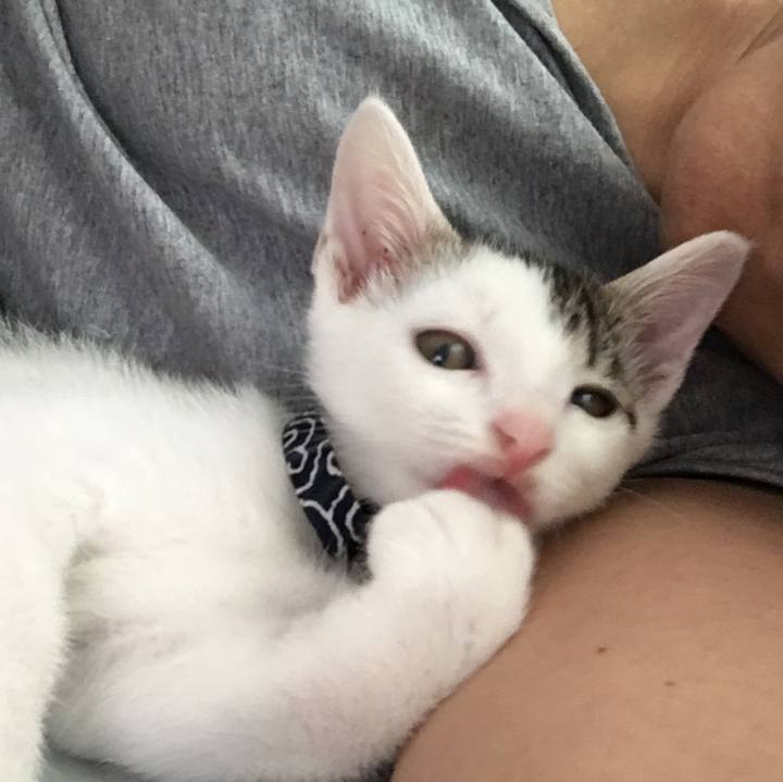 3599cc69 4060 499f 969f 16344cfaa304