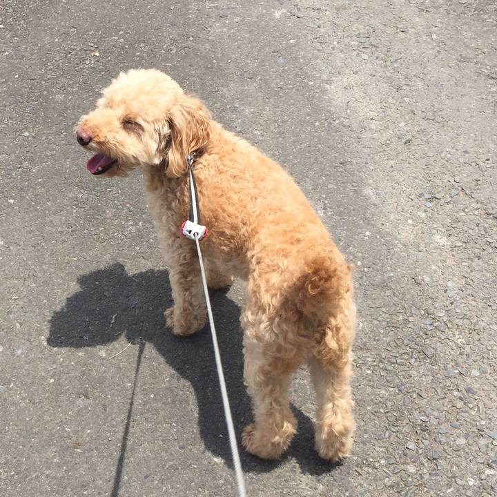 3599e820 240d 4ebb bc87 783e50626a49