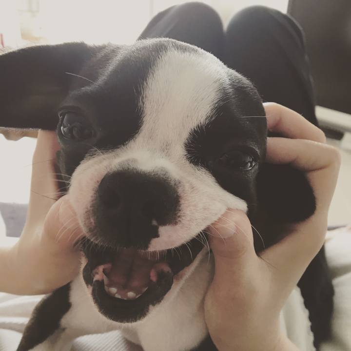 359a3e8f 2b5b 42e0 8775 60f7f963c43d