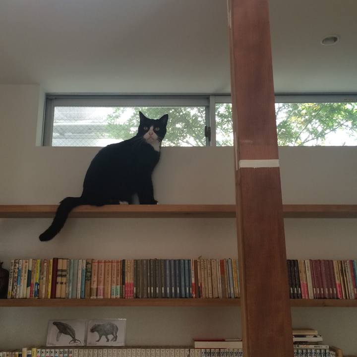 359a6fc2 3f2c 4f6a 855a 0dbdb9472bea