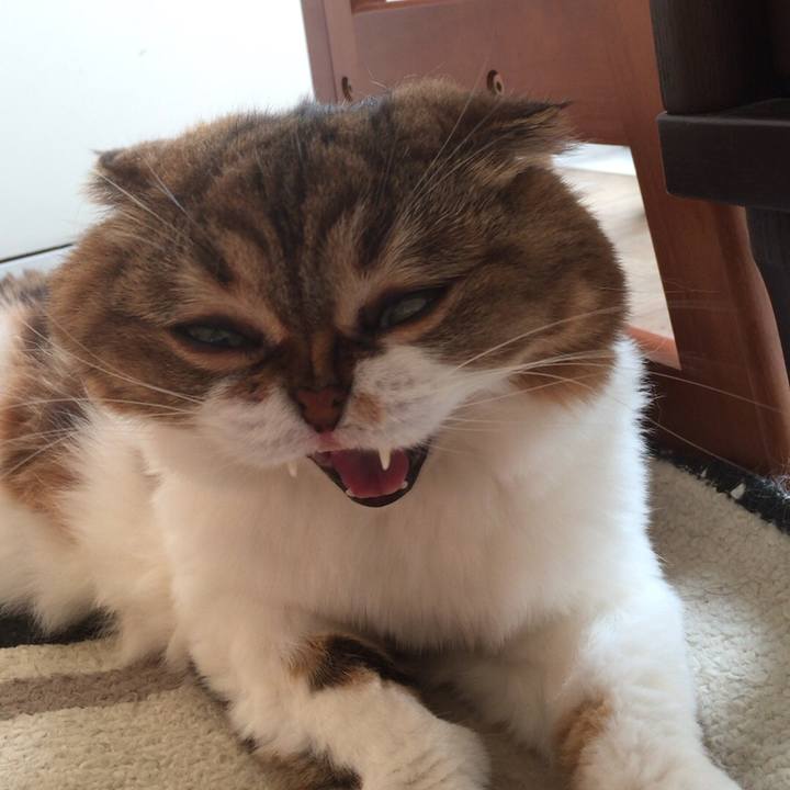 359a708d 6e60 4ba6 9a4d f9b647aff557