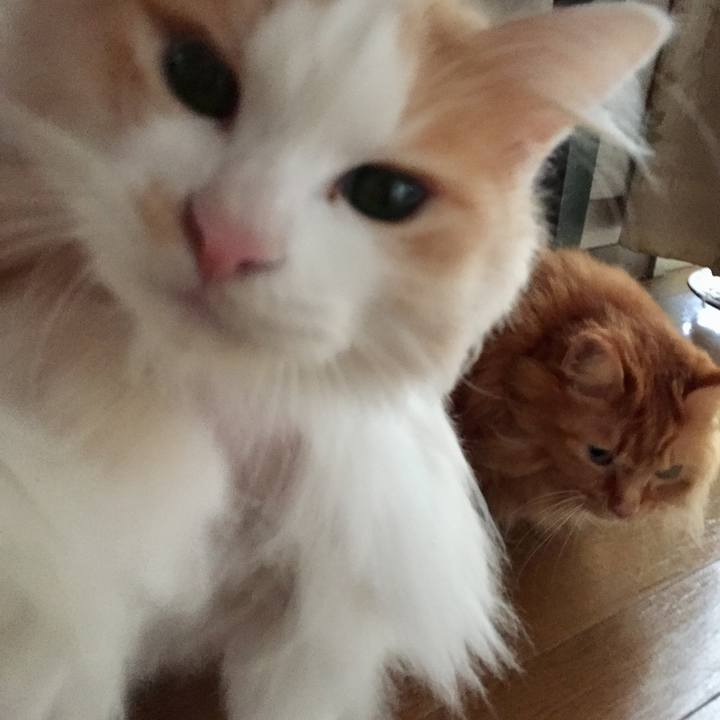 359a85ca 1f42 45be b868 b4dacd1f9097